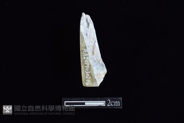 錛鑿形器藏品圖，第2張
