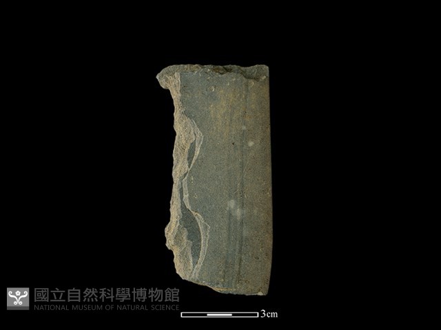 磨製有刃石器藏品圖，第1張