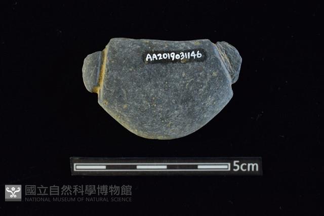 網墜藏品圖，第2張