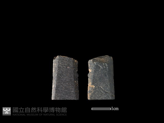 矛鏃形器藏品圖，第1張