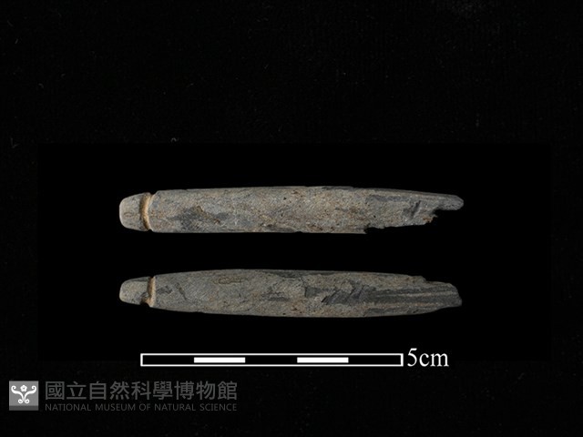 網墜藏品圖，第1張
