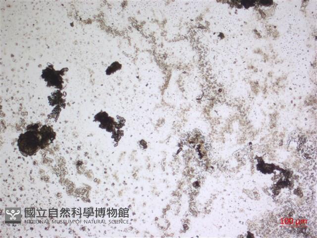 登錄號:A00004666藏品圖，第2張