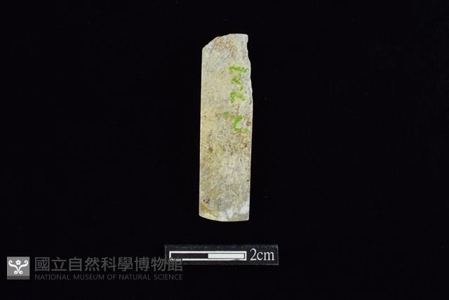 錛鑿形器藏品圖，第2張