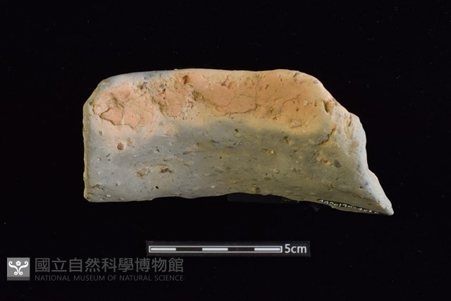 陶罐藏品圖，第2張
