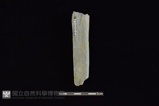 石鎚藏品圖，第2張