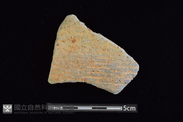 陶片藏品圖，第1張