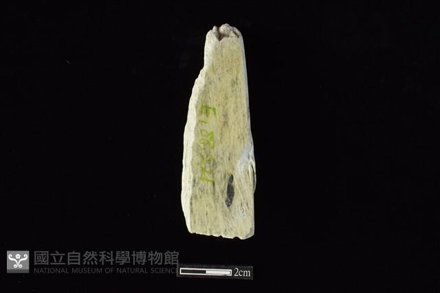 錛鑿形器藏品圖，第2張