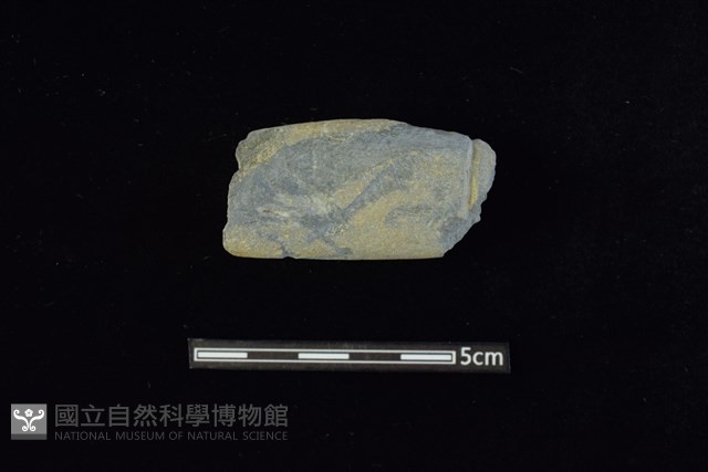 網墜藏品圖，第1張