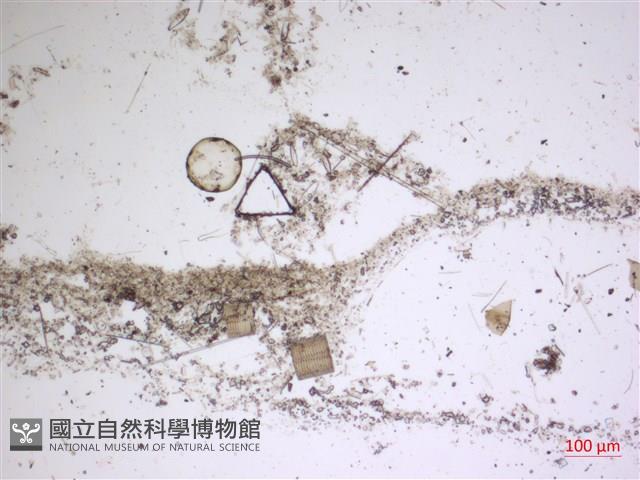 登錄號:A00004566藏品圖，第2張