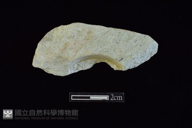 玉料藏品圖，第1張