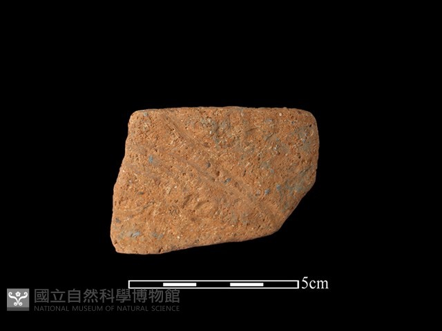 陶罐藏品圖，第1張