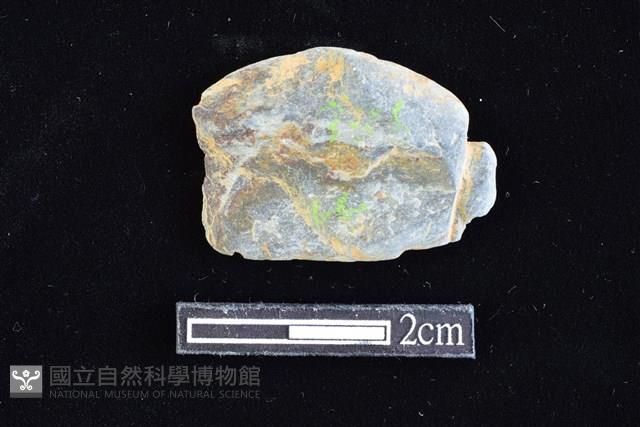 網墜藏品圖，第1張