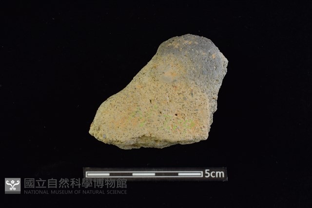 陶片藏品圖，第1張