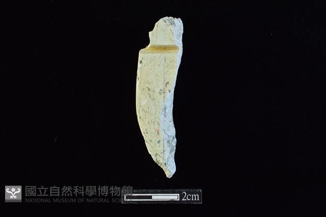 玉料藏品圖，第1張