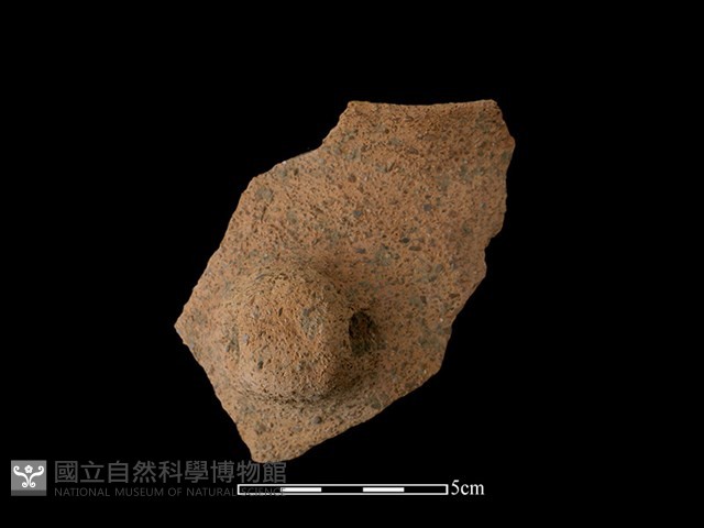 陶罐藏品圖，第1張
