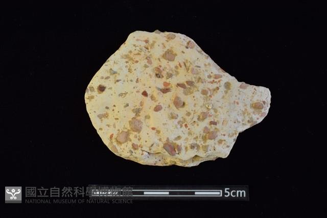 陶片藏品圖，第1張