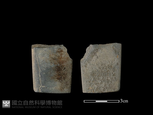 矛鏃形器藏品圖，第1張