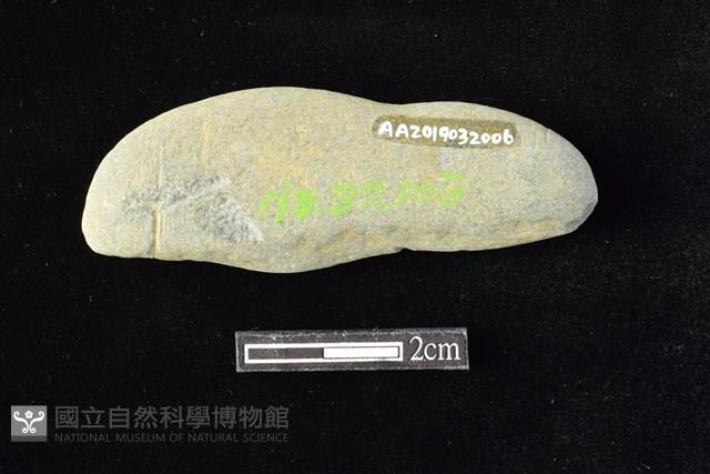 網墜藏品圖，第2張