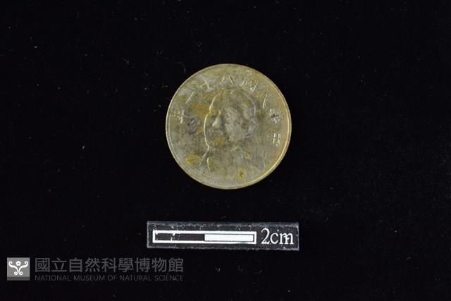 錢幣藏品圖，第1張