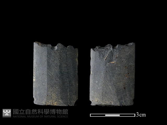 矛鏃形器藏品圖，第1張