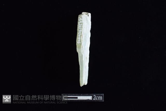 錛鑿形器藏品圖，第1張