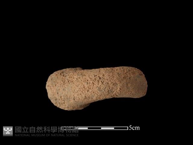 Accession Number:BY-2017-0906 Collection Image, Figure 2, Total 2 Figures