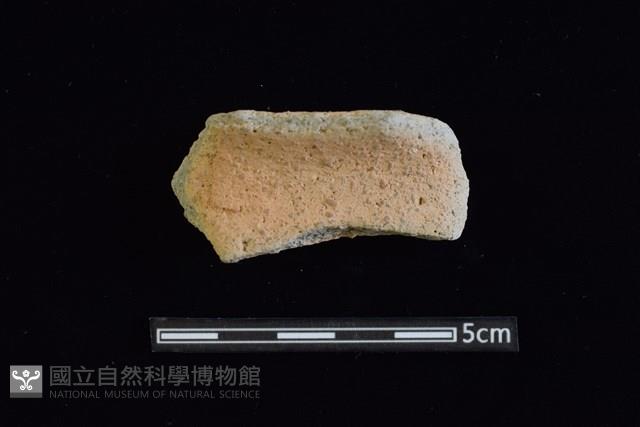 陶罐藏品圖，第1張