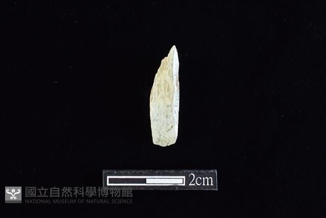 錛鑿形器藏品圖，第1張