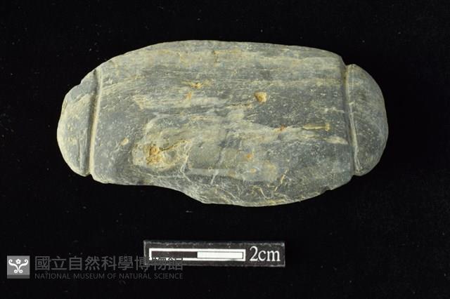 網墜藏品圖，第1張