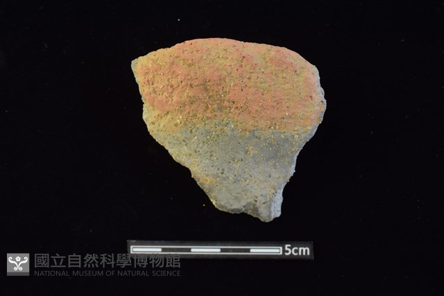 陶蓋鈕藏品圖，第1張