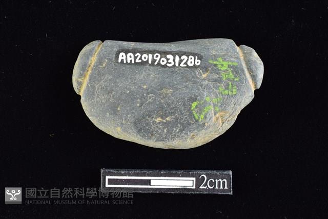 網墜藏品圖，第2張