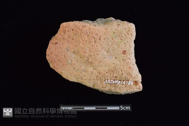 陶片藏品圖，第2張