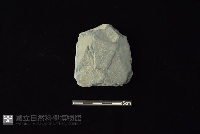 戈形器藏品圖，第1張