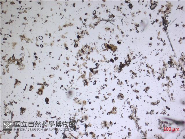 登錄號:A00004586藏品圖，第2張