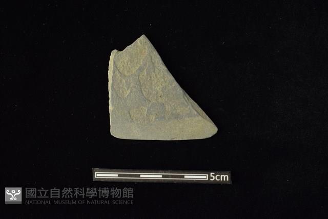 石材藏品圖，第1張