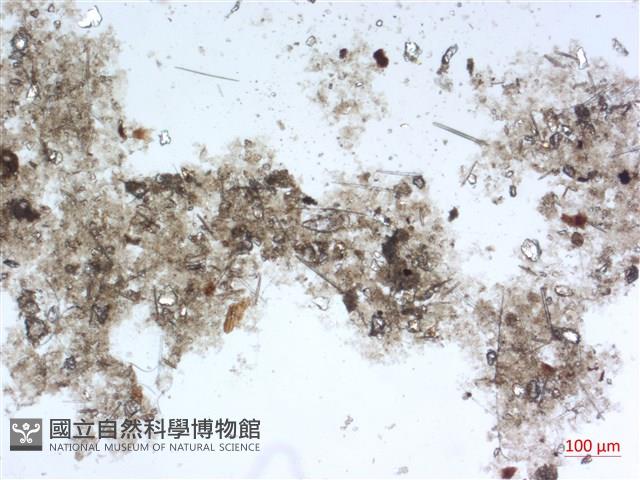 登錄號:A00004486藏品圖，第2張