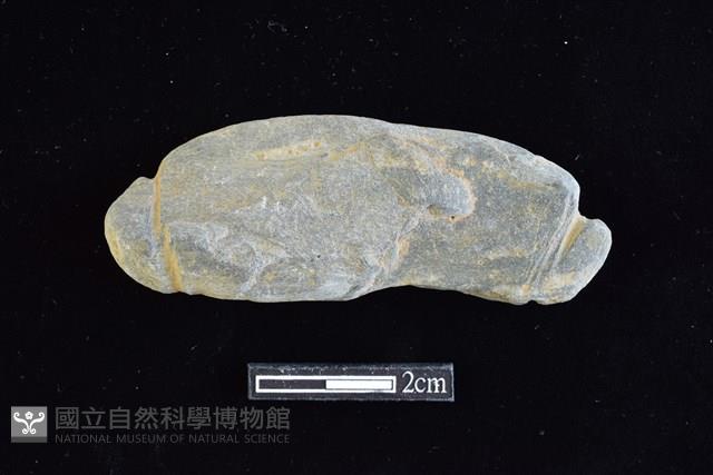 網墜藏品圖，第1張