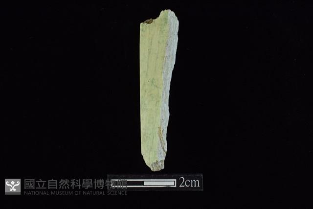 錛鑿形器藏品圖，第2張