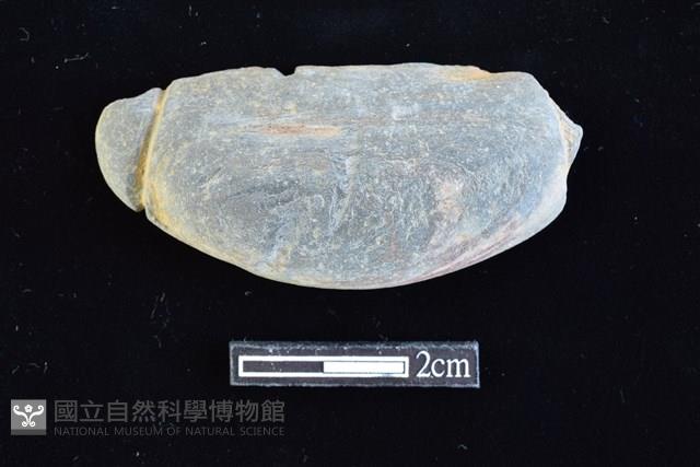 網墜藏品圖，第1張