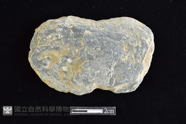 網墜藏品圖，第1張