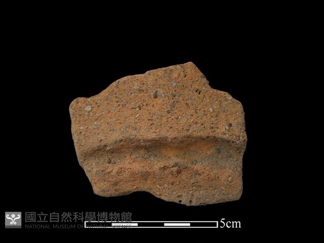 陶片藏品圖，第1張