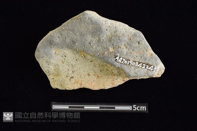 陶片藏品圖，第1張