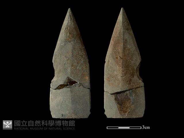 矛鏃形器藏品圖，第1張