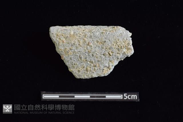 陶缽藏品圖，第1張