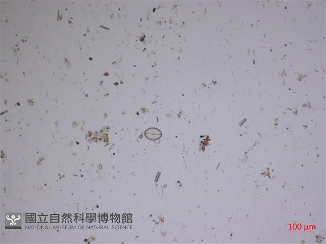 登錄號:A00004534藏品圖，第2張