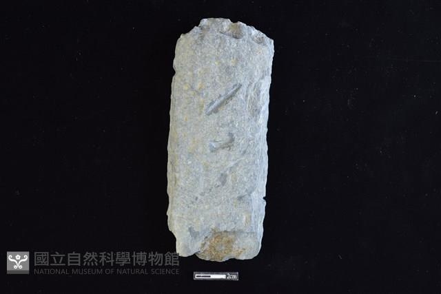 石器殘件藏品圖，第1張