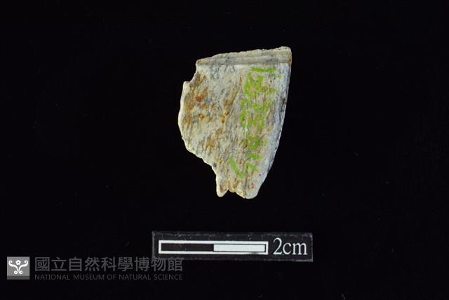 錛鑿形器藏品圖，第1張