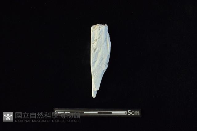 玉料藏品圖，第1張