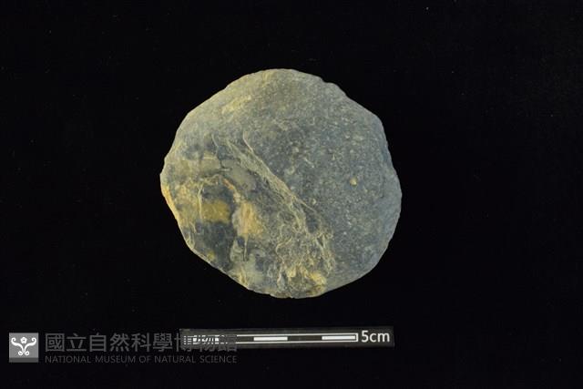 石圓片藏品圖，第1張