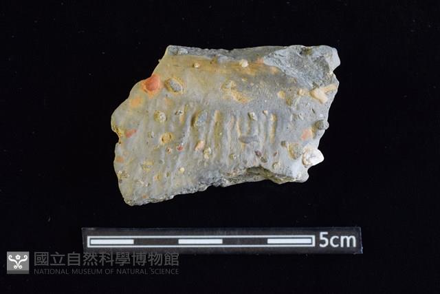 陶罐藏品圖，第1張